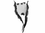 [note lecture] Pierre Drogi, "Animales", Jean-Pascal Dubost