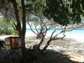 Photo jour Samedi Septembre