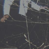 Cemeteries - The Wilderness (2012)