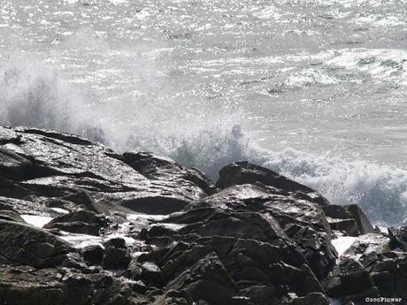 Mer de Bretagne - septembre 2013 - www.CocoFlower.net