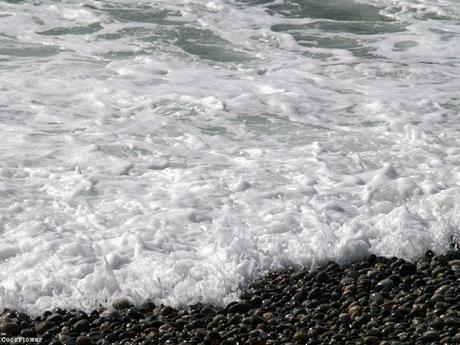 Bretagne - septembre 2013 - www.CocoFlower.net