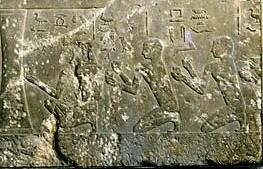 E 25408 - Quatre fils de Tepemânkh (Cliché - C. Larrieu)