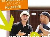 10èmes Rencontres professionnelles energivie.info rendez-vous professionnels bâtiment Alsace