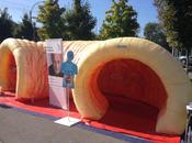 côlon géant installé Luxembourg