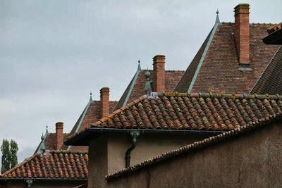 Chartreuse de Bosserville