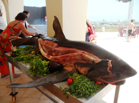 Photo Hotel Iberostar Safira Palms Barbecue Requin