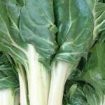 GRATIN BETTES/EPINARDS A L’ITALIENNE