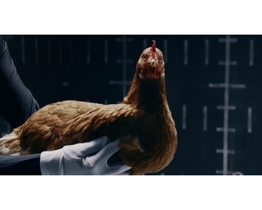[Publicité Drôle] Des poules incroyables dans le nouveau spot de Mercedes