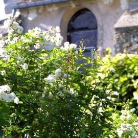 jardins viels maisons aisne