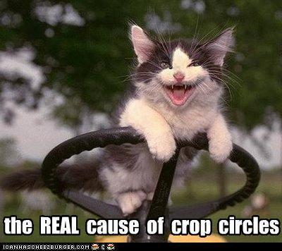funny-pictures-kitten-causes-crop-circles