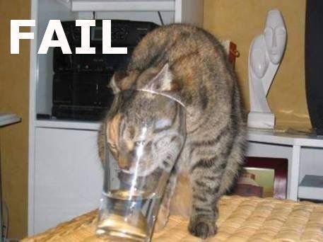 Failcat