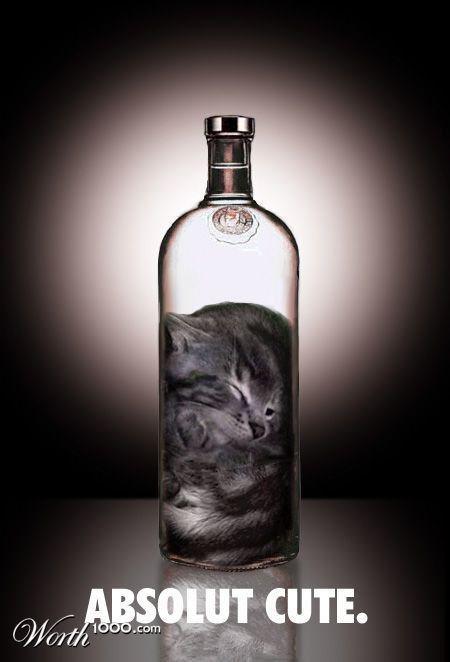 713285_06a2_625x1000