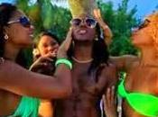 Young Chang Pliss Vitamine Clip Officiel