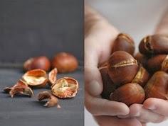 12 raisons d'aimer l'automne