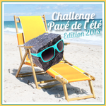 0 Challenge Pavé de l'été Brize - Copie