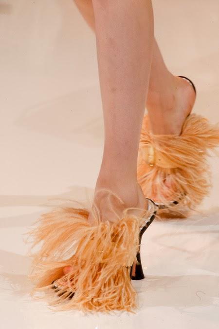 Le retour de la chaussures à plumes...