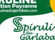 Spiruline Garlaban