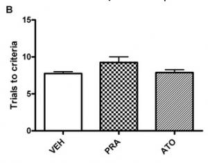 MÉMOIRE: Les statines peuvent affecter la fonction cognitive – PLoS ONE