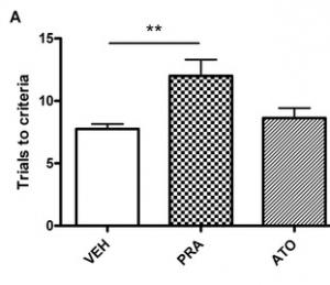 MÉMOIRE: Les statines peuvent affecter la fonction cognitive – PLoS ONE