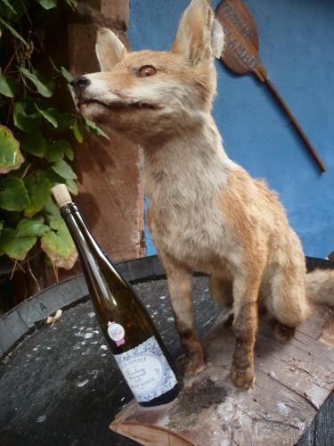 voyage,tourisme,saison,souvenir,alsace