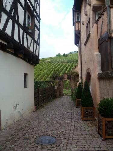 voyage,tourisme,saison,souvenir,alsace
