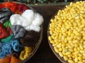 Photo jour Jeudi Septembre Soie Thaïlandaise