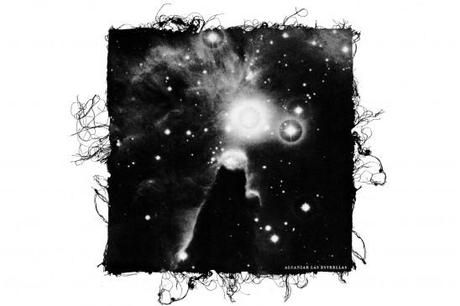 t shirt graphic pantalon homme blouson veste homme femme et mode short ou bermuda