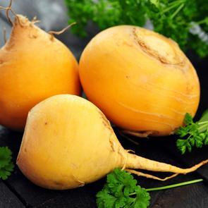 navet à planter en septembre