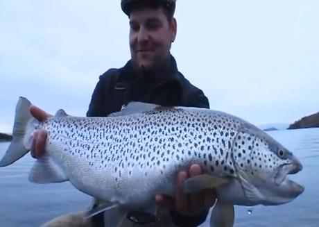 EN ISLANDE, A LA POURSUITE DE MONSTRES.