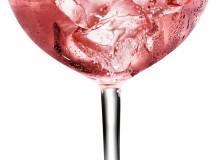 MARTINI et TRENTY’S : le nouveau rendez-vous à ne pas rater cet automne ! Martini Royale Rosato