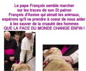 Pape-aime-animaux.jpg