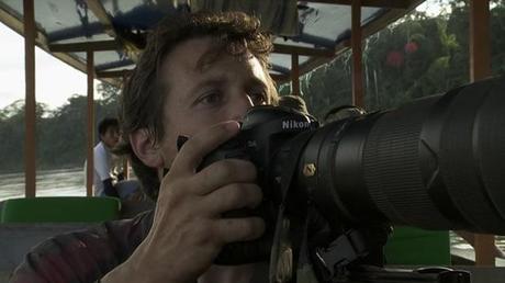 Une image en tête - Voyages en forêt des pluies 