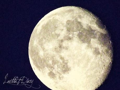 My Summer 2013 en images