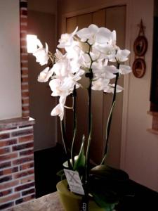 Atelier culinaire cadeaux 2013 8