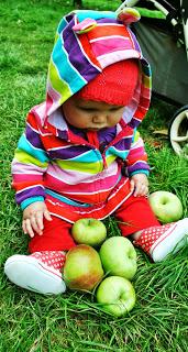 Gelée de pomme infaillible de Jasmine