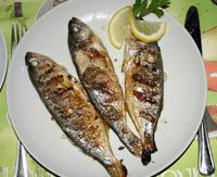 TOUT FOUT LE CAMPS !