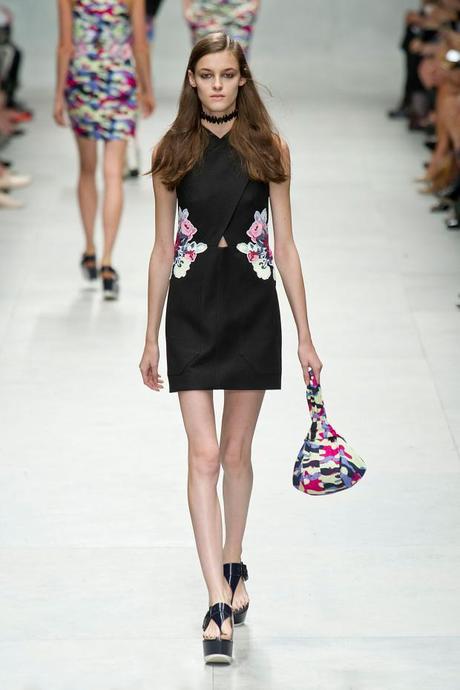 Fashion Week Spring 2014 Paris