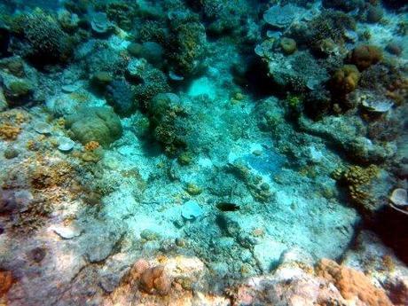 20130922_105444.jpg image