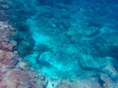 20130922_110754.jpg image