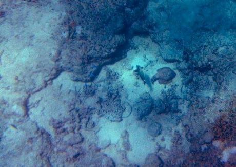 20130922_110027.jpg image