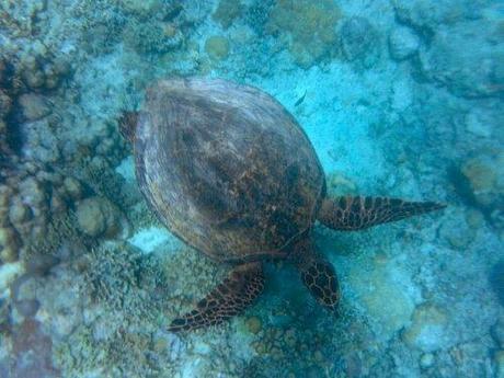 20130922_110807.jpg image