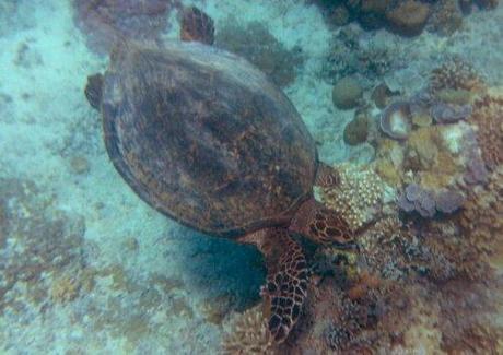 20130922_111004.jpg image