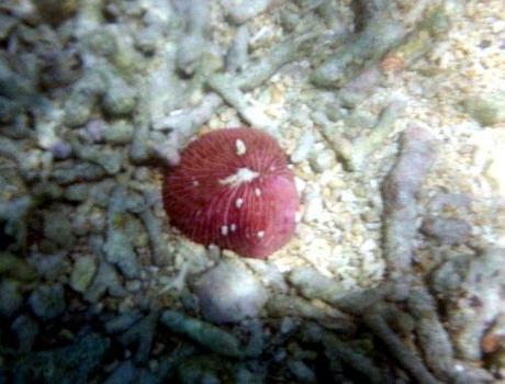 20130922_112028.jpg image