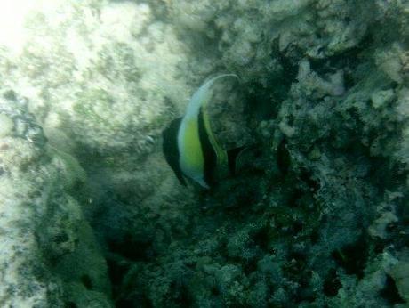 20130922_122001.jpg image