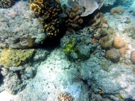 20130922_105114.jpg image