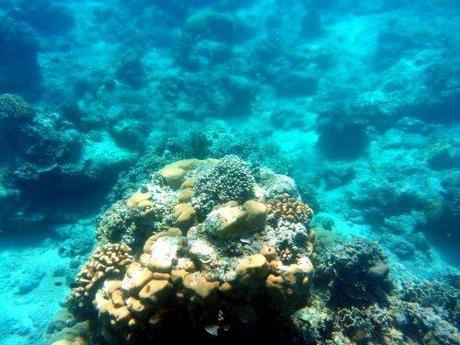 20130922_105945.jpg image