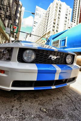 Un petit tour à Windy City !!!