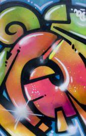graffiteur scan graffiti street art urbain muraliste murale