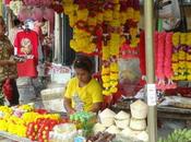 Photo jour vendredi septembre