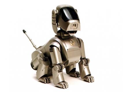 Chien-robot.jpg